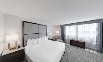 Room, 1 King Bed, City View