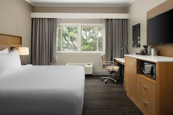 Junior Suite, 1 King Bed, Accessible (Mobility, Roll-In Shower)