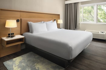 Suite, 1 King Bed