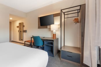 Standard Room, 1 King Bed, Non Smoking