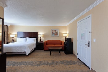 Standard Room, 1 King Bed, Roll-in Shower (Communications Accessible)