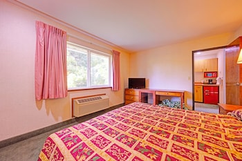 Room, 1 King Bed, Non Smoking, Jetted Tub
