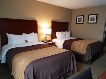 Standard Double Room, 2 Double Beds, Non Smoking
