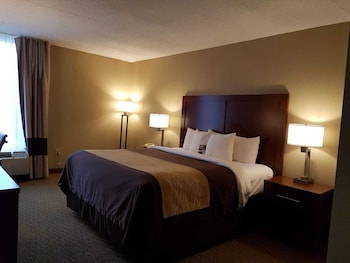Standard Room, 1 King Bed, Non Smoking