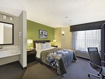 Room, 1 Queen Bed, Non Smoking