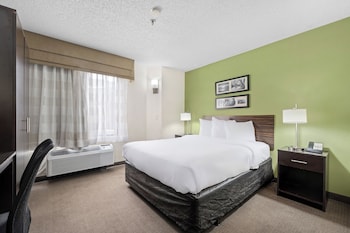 Room, 1 Queen Bed, Non Smoking