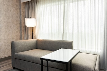 Room, 1 King Bed with Sofa bed