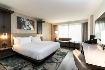 Room, 1 King Bed with Sofa bed