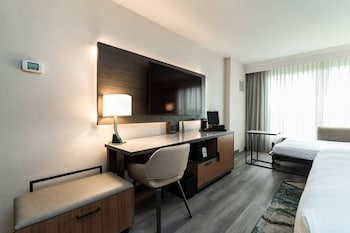 Room, 1 King Bed with Sofa bed