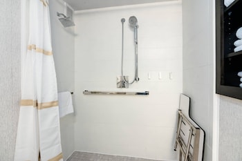 Room, 1 King Bed with Sofa bed (Mobility Accessible, Roll-In Shower)