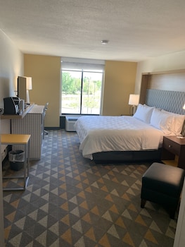 Standard Room, 1 King Bed, Accessible (Mobility, Communications)