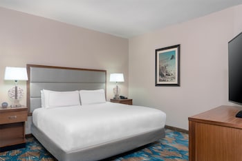 Suite, 1 King Bed (Whirlpool)