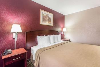 Room, 1 King Bed, Non Smoking, Lake View