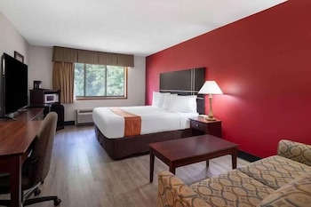 Room, 1 King Bed, Non Smoking