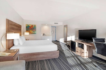 Standard Room, 1 King Bed, Non Smoking, Microwave