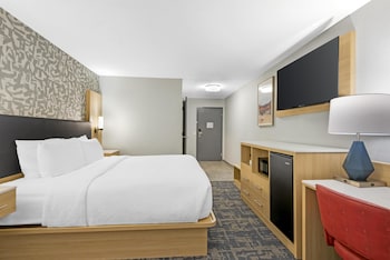 Standard Room, 1 King Bed, Non Smoking (Walk-in Shower;Pets Not Allowed)