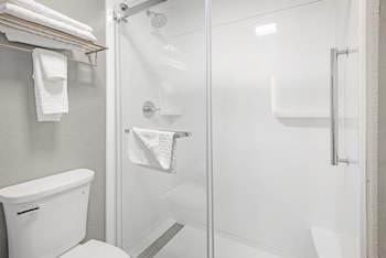 Standard Room, 1 King Bed, Non Smoking (Walk-in Shower;Pets Allowed)