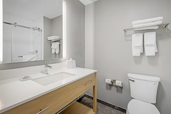 Standard Room, 1 King Bed, Non Smoking (Walk-in Shower;Pets Not Allowed)