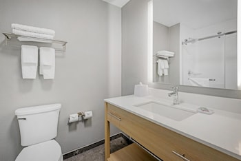 Standard Room, 1 King Bed with Sofa bed, Non Smoking (Walk-in Shower;Pets Not Allowed)