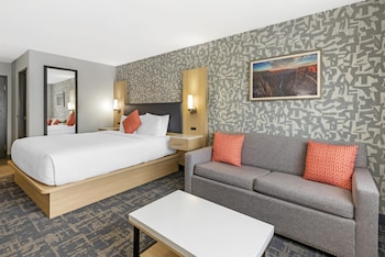 Standard Room, 1 King Bed with Sofa bed, Non Smoking (Walk-in Shower;Pets Not Allowed)