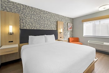 Standard Room, 1 King Bed, Non Smoking (Walk-in Shower;Pets Allowed)
