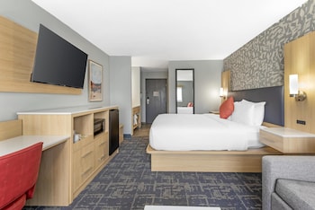 Standard Room, 1 King Bed with Sofa bed, Non Smoking (Walk-in Shower;Pets Not Allowed)