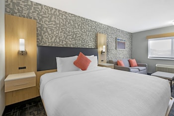 Standard Room, 1 King Bed with Sofa bed, Non Smoking (Walk-in Shower;Pets Not Allowed)