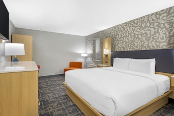 Standard Room, 1 King Bed, Non Smoking (Walk-in Shower;Pets Not Allowed)