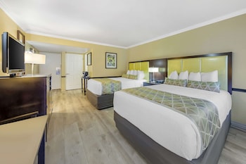 Standard Room, 2 Queen Beds, Refrigerator & Microwave, Poolside