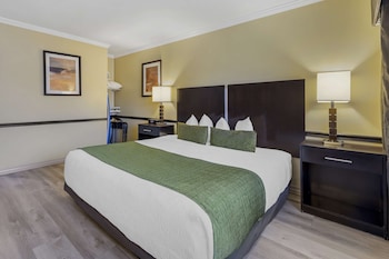 Standard Room, 1 King Bed, Accessible, Non Smoking