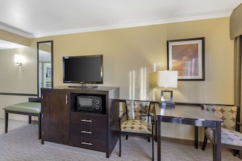 Deluxe Room, 1 King Bed, Non Smoking, Refrigerator & Microwave