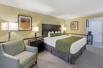Standard Room, 1 King Bed, Refrigerator & Microwave, Poolside