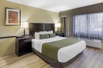 Standard Room, 1 King Bed, Accessible, Non Smoking