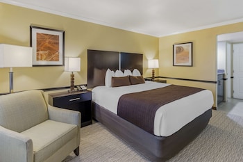 Deluxe Room, 1 King Bed, Non Smoking, Refrigerator & Microwave
