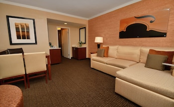Suite, 1 King Bed, City View