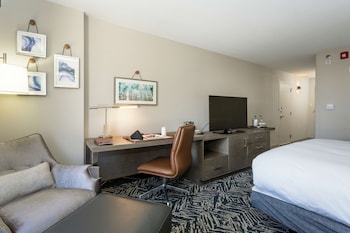 Room, 1 King Bed, Accessible, Non Smoking (Rollin Shower & Hearing)