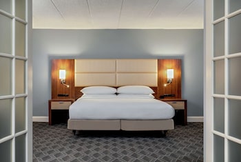 Suite, 1 King Bed with Sofa bed