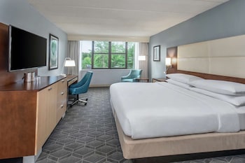 Room, 1 King Bed, Accessible
