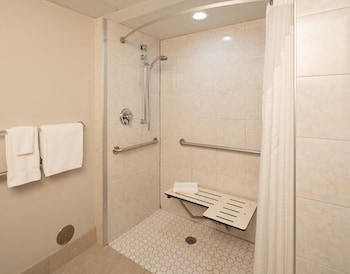 Room, 1 King Bed, Accessible, Non Smoking (Hearing, Roll-In Shower)