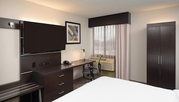 Suite, 1 King Bed, Non Smoking