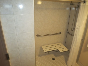 Room, 1 King Bed, Accessible, Non Smoking (Hearing, Roll-In Shower)