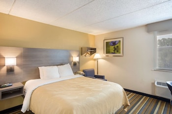Standard Room, 1 Queen Bed, Non Smoking