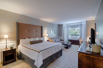 Deluxe Room, 1 King Bed