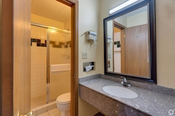 Standard Studio Suite
