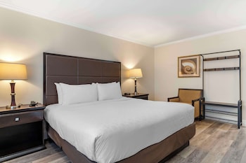 Suite, Multiple Beds, Non Smoking, Refrigerator