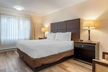 Standard Room, 1 Queen Bed, Accessible, Non Smoking (Walk-in Shower)