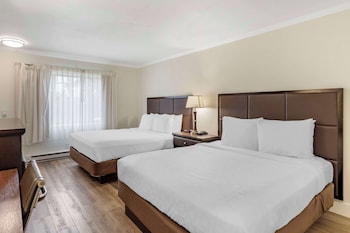 Standard Room, 2 Queen Beds, Non Smoking, Refrigerator