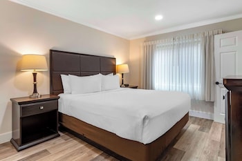 Standard Room, 1 Queen Bed, Non Smoking, Refrigerator