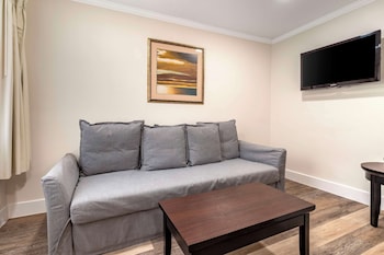 Suite, 1 King Bed, Non Smoking, Refrigerator