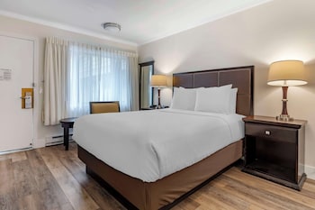 Standard Room, 1 Queen Bed, Non Smoking, Refrigerator